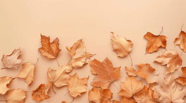 Cute:2u-Bqxoije0= Fall Backgrounds Aesthetic