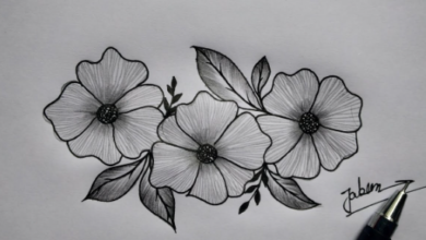 Beautiful:_-8ey6u6pwg= Flower Drawing