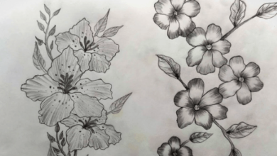 Beautiful:_-8ey6u6pwg= Flowers Drawing