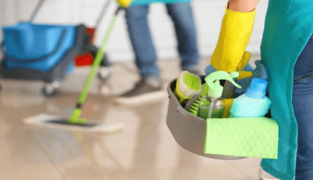 Professional Home Cleaning Services: Sparkle and Shine Guaranteed
