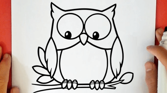 Cute:8hraqghnu_8= How to Draw a Owl