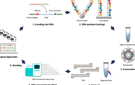 Happens After Throughput Dna Storage Drives