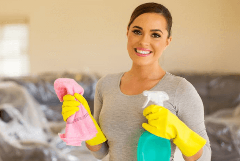 The House Cleaning: Creating a Cleaner, Healthier, and More Organized Home