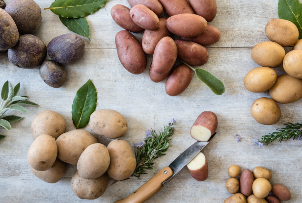 A Complete Guide To The Most Popular Types Of Potatoes