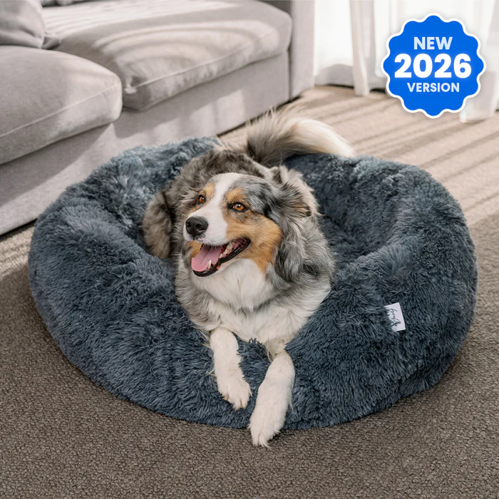 How a Cozy Calming Pet Bed Can Transform Your Dog’s Comfort