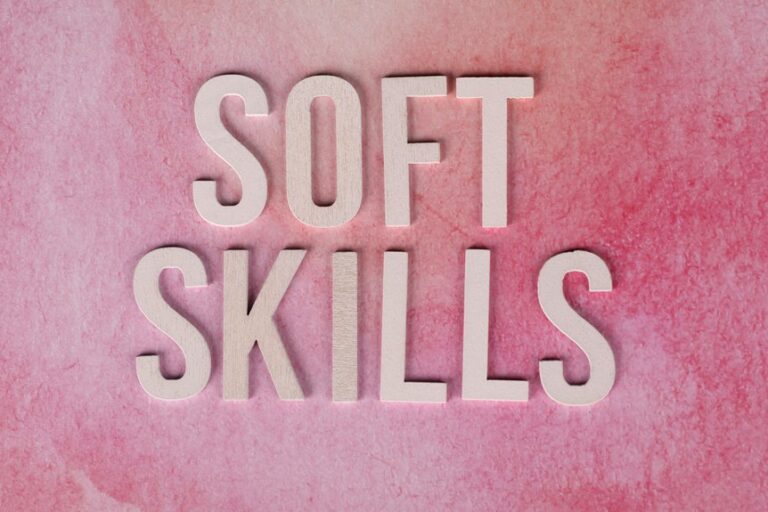 dimrekemesgen skills summary
