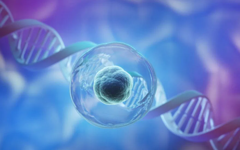 The Blueprint of Human Regeneration: A STEM CELL Overview and Definition