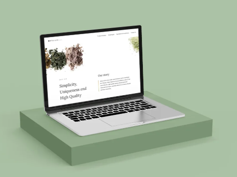 10 Essential Elements of Effective B2B Web Design